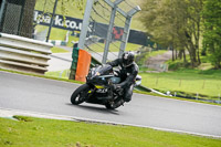 Lower Group Black Bikes